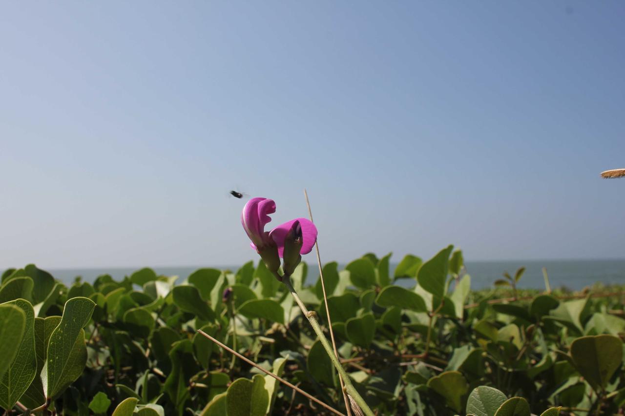Vretreat 호텔 Kokkānisseri 외부 사진